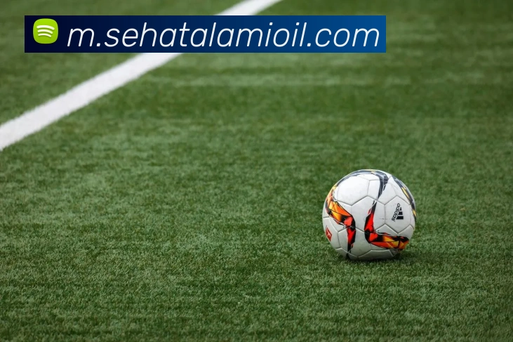 App 展示图